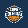 Copa Colegial icon