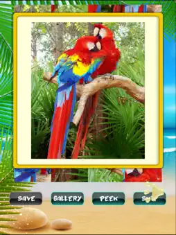 Funny Puzzles screenshot 8