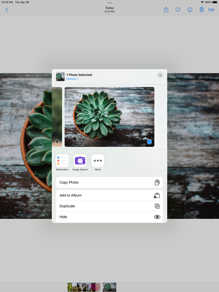 #3. Reverse Image Search – RIMG (iOS) By: Wios