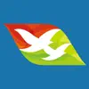 Air Seychelles delete, cancel