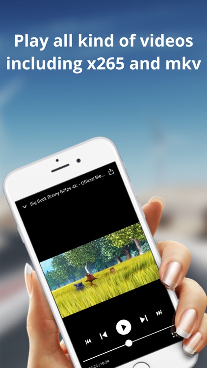 Loader (Media Player)