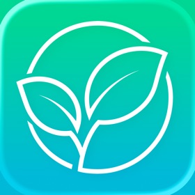 Plant Identifier: Lawn & Weed