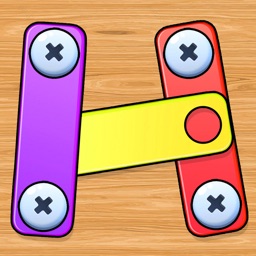 Screw Pin Puzzle: Nuts Bolts