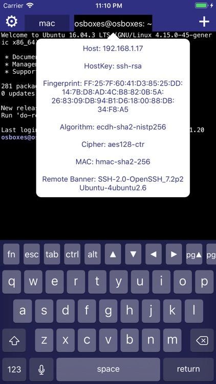 Secure Terminal screenshot-5