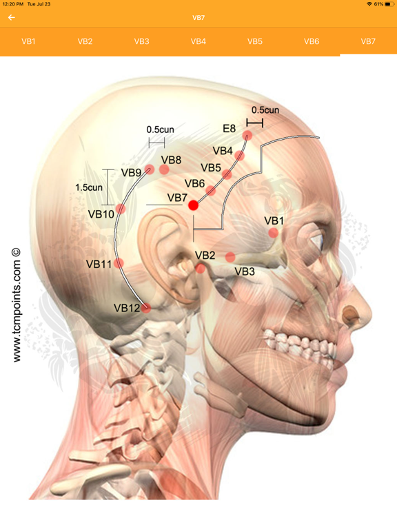 Screenshot #4 pour Assistant Acupuncture