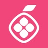 Pomelo: Send Money icon