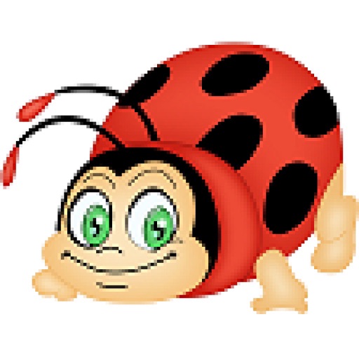 CoccinelleFamille
