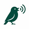Chirp - Listen to Bird Sounds