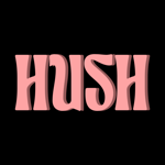 Hush : Chat Anonyme, Rencontre pour pc