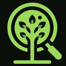 Forest Tree Identification