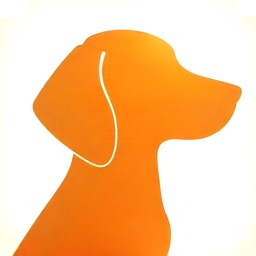 We Up - Virtual Pet Translator