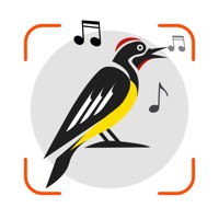 Bird Sounds Identifier Call ID logo