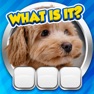 Get Guess it! Zoom Pic Trivia Game for iOS, iPhone, iPad Aso Report