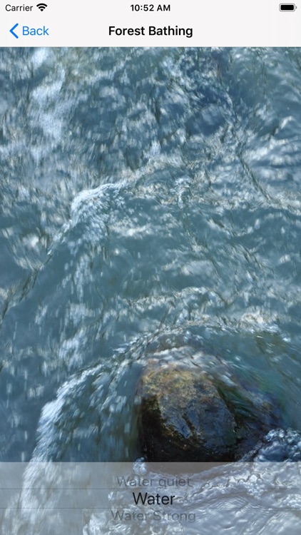 Shinrin-yoku - Forest Bathing screenshot-4