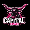 Capital Elite All Stars icon