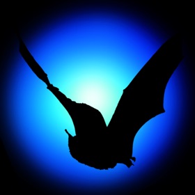 螢幕擷取畫面 (1) Bat Detector