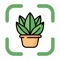 Identify any plant instantly with our powerful plant recognition app