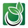 The Social Leaf icon