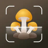 Mushroom identifier Picture ID
