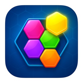 Hexa Block Fit Puzzle
