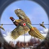 Pheasant Bird Hunting 18 icon