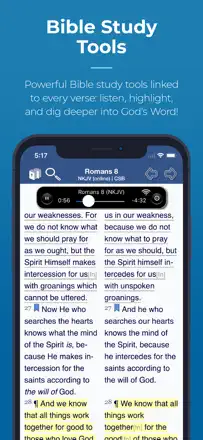 Blue Letter Bible: скриншот 1 из 5