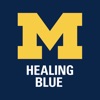 Healing Blue icon