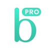 Bridestory Pro for Vendors icon