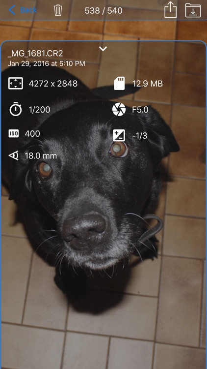Camera Connect & Control screenshot-4
