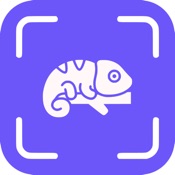 Reptile Identifier - RI