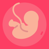 Gestational Age (baby's age) - Daniel Correia