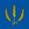 Kysta icon