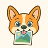 Doggy Cleaner: Photo & Storage