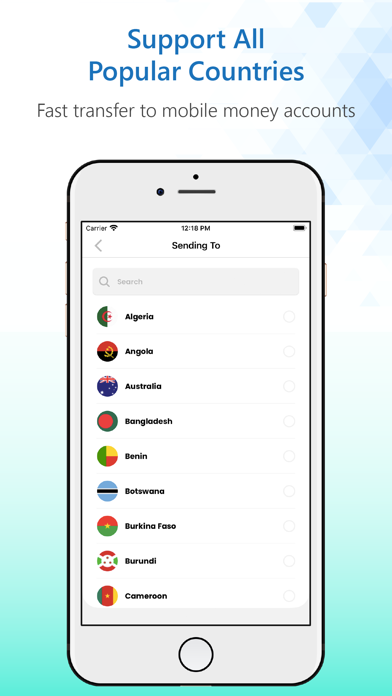 PaySii Screenshot