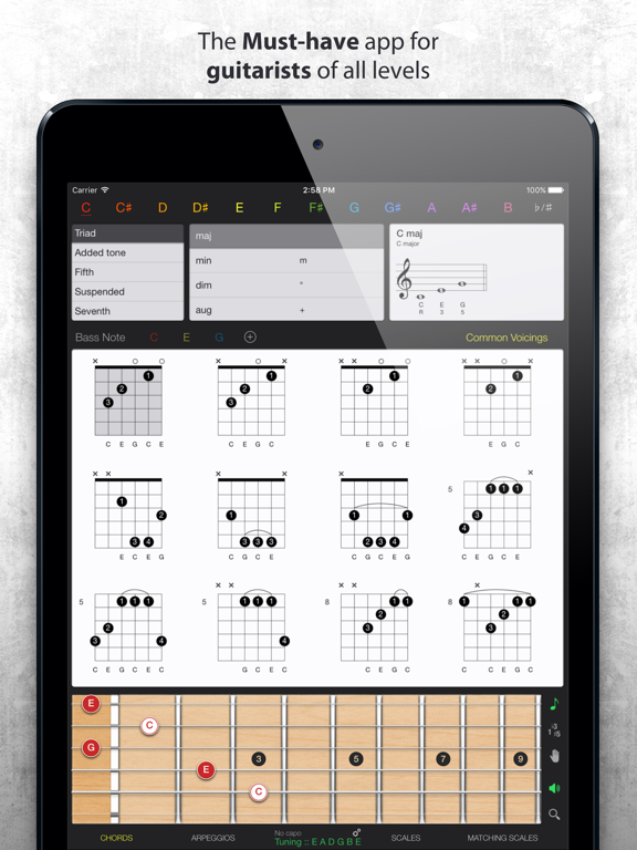 Guitar Gravitas: Chords Scales iPad screenshot 2 - Music app