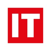 IT Professional