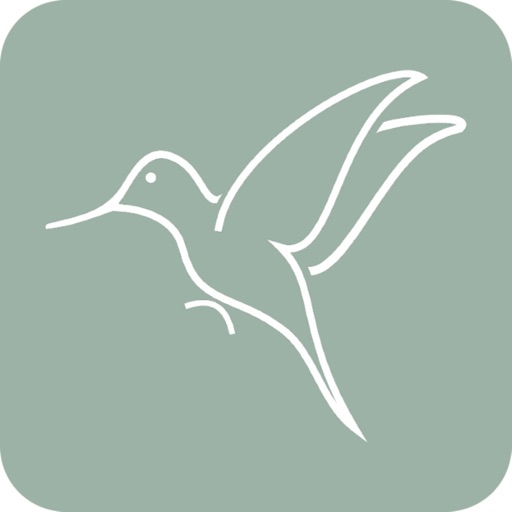 Dra. Alessandra Ceravolo