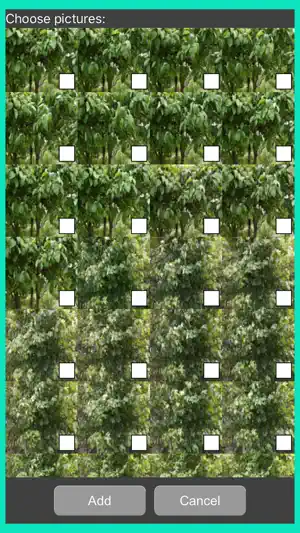 Video Maker+ screenshot 2