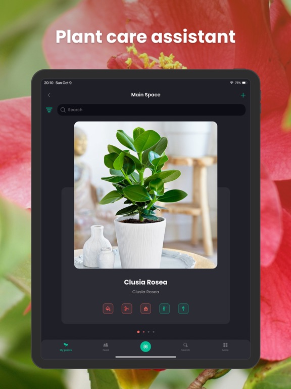 Screenshot #5 pour PlantIn・plantes reconnaissance
