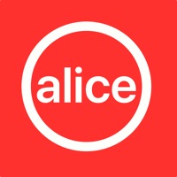 Alice: Record & Transcribe Pro