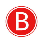 Business Bosses - Networking