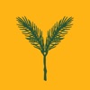 Yellow Spruce Roasters icon