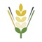 Cette application mobile est dédiée aux agriculteurs clients d'Ygrains et compatible avec le portail Ygrains Market