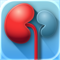 dialysePal