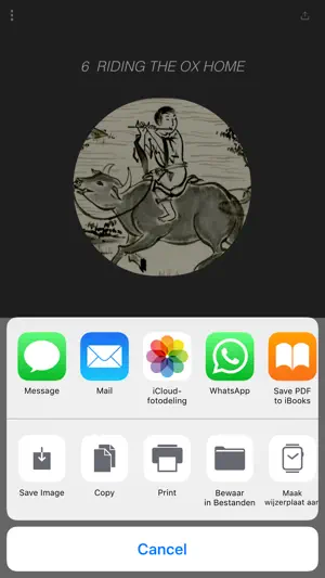 Ten Oxherding Pictures screenshot 3