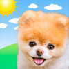 Boo Weather: Pomeranian Puppy - Weather Creative Inc.