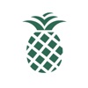 PineApp icon