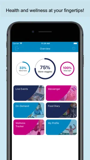 VHPGO screenshot 1