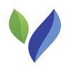 Vodoley icon