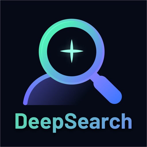 DeepSearch - AI Search